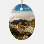 De reis keramisch ornament (Voorkant)