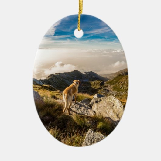 De reis keramisch ornament (Voorkant)