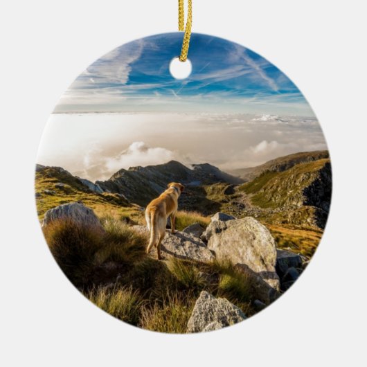 De reis keramisch ornament (Voorkant)