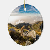 De reis keramisch ornament (Links)