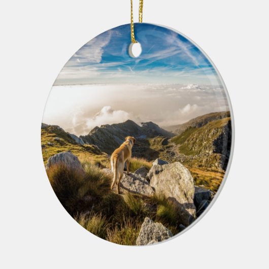 De reis keramisch ornament (Links)