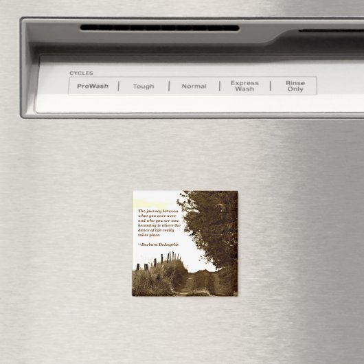 De reis magneet (Insitu (Vaatwasser))