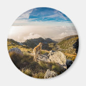 De reis magneet (Voorkant)