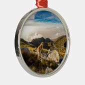 De reis metalen ornament (Rechts)