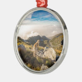 De reis metalen ornament (Links)