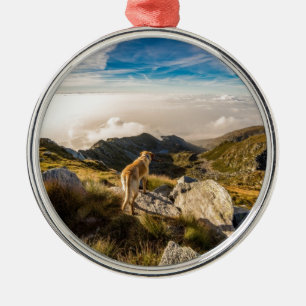 De reis metalen ornament