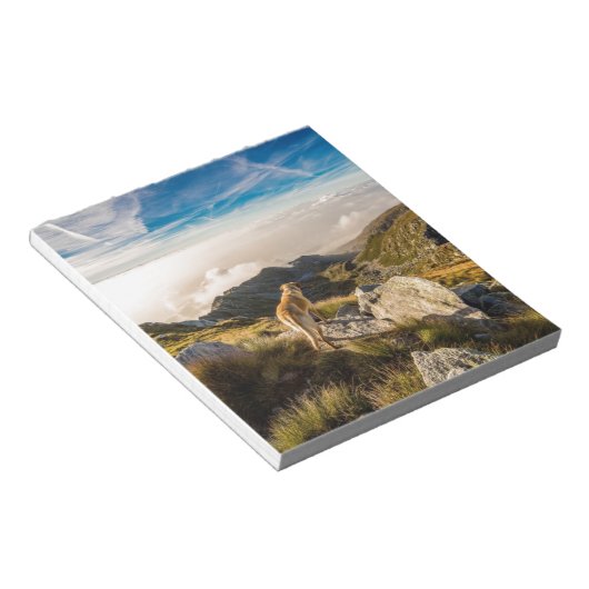 De reis notitieblok (Schuin)