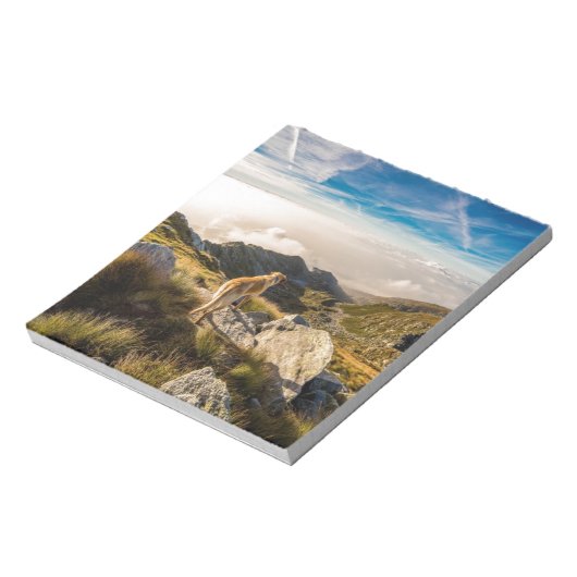 De reis notitieblok (Linkerzijde)