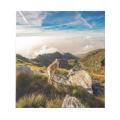 De reis notitieblok (Voorkant)