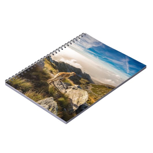 De reis notitieboek (Linkerzijde)