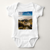 De reis romper (Voorkant)