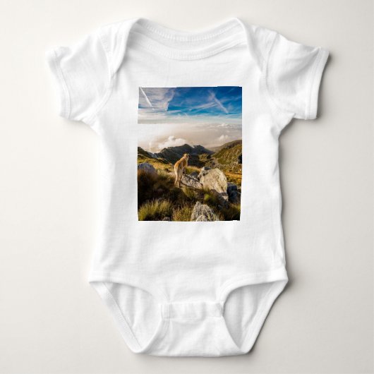 De reis romper (Voorkant)