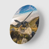 De reis ronde klok (Hoek)