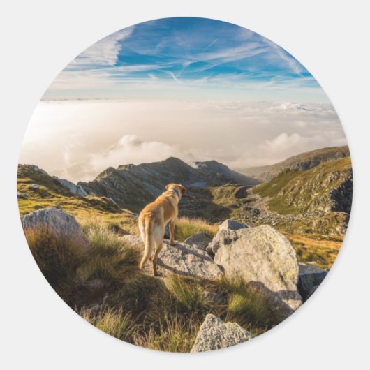 De reis ronde sticker (Voorkant)