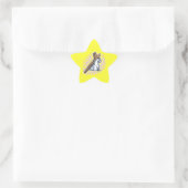 De reis ster sticker (Tas)