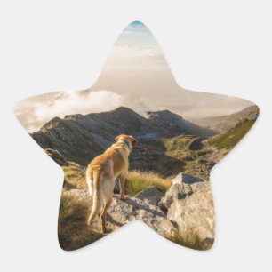De reis ster sticker