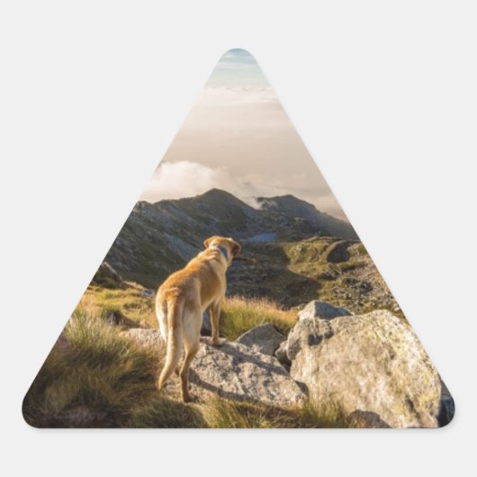 De reis sticker (Voorkant)
