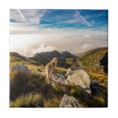 De reis tegeltje (Voorkant)