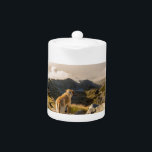 De reis theepot<br><div class="desc">De reis wacht op je!</div>