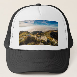De reis trucker pet