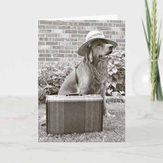 De reis van Bon Kaart (Voorkant)