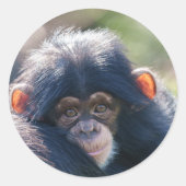 De reis van de baby-chimpansee ronde sticker (Voorkant)