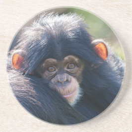 De reis van de baby-chimpansee zandsteen onderzetter