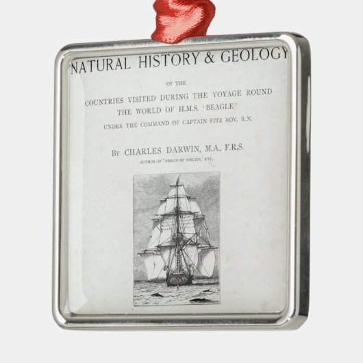 De reis van de beagle metalen ornament (Links)