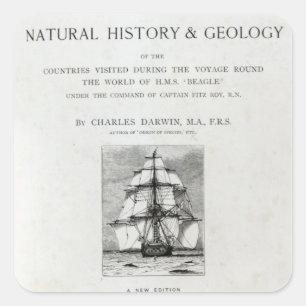 De reis van de beagle vierkante sticker