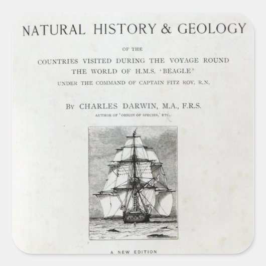 De reis van de beagle vierkante sticker (Voorkant)