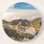 De reis zandsteen onderzetter (Voorkant)