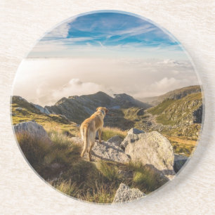 De reis zandsteen onderzetter