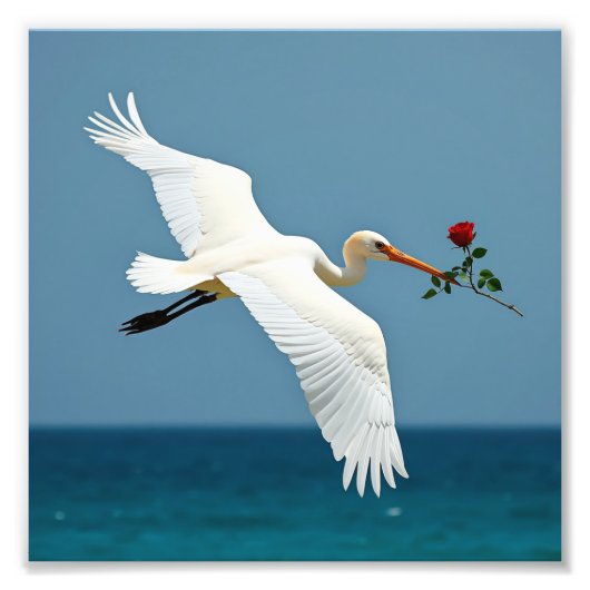 De reizende vogel foto afdruk (Voorkant)