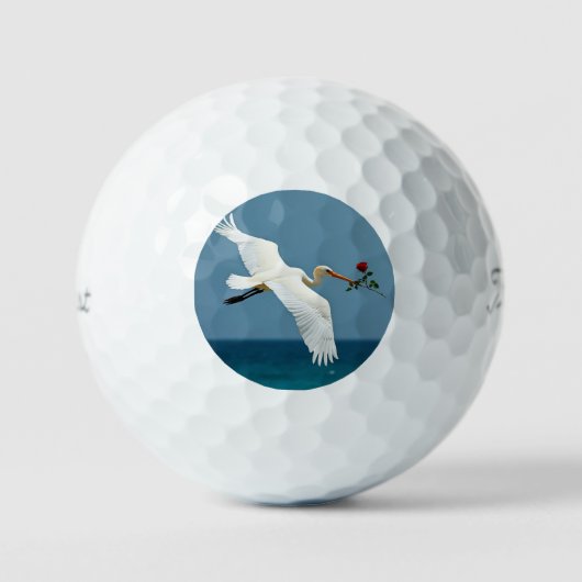 De reizende vogel golfballen (Voorkant)