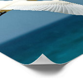 De reizende vogel poster (Hoek)