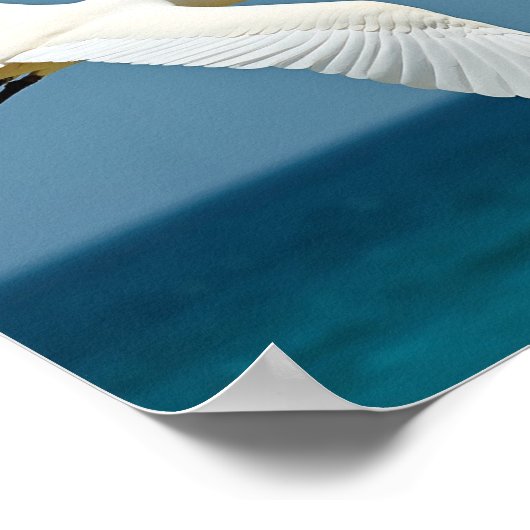 De reizende vogel poster (Hoek)