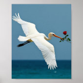 De reizende vogel poster (Voorkant)