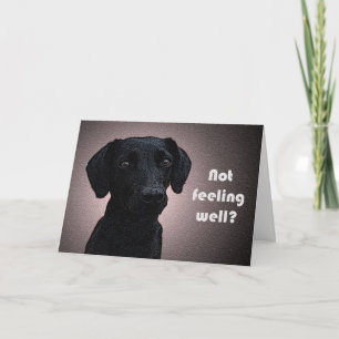 De remedie van een hond wordt goed Kaart