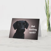 De remedie van een hond wordt goed Kaart (Voorkant)