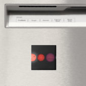 De renditie van een kunstenaar vergelijkt bruine d magneet (Insitu (Vaatwasser))