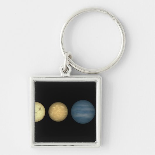 De renditie van een kunstenaar vergelijkt bruine d sleutelhanger (Voorkant)