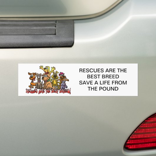 DE RESCUMENTEN ZIJN DE BESTE BREED BUMPERSTICKERS (Op auto)