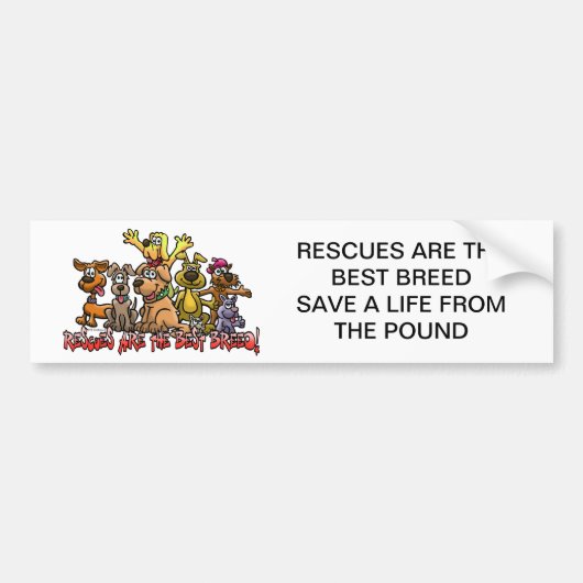 DE RESCUMENTEN ZIJN DE BESTE BREED BUMPERSTICKERS (Voorkant)