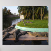 De respassers zullen worden gegeten! poster (Voorkant)