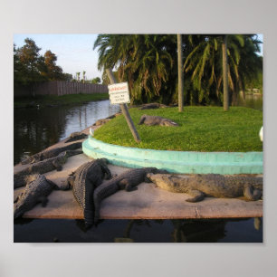 De respassers zullen worden gegeten! poster