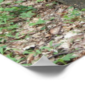 De resterende 1 poster (Hoek)