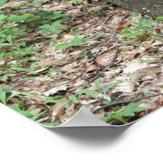 De resterende 1 poster (Hoek)