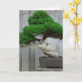 De reusachtige Bonsai van de Jeneverbes Kaart (Gele Bloem)
