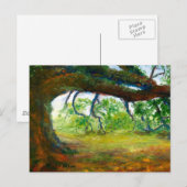 De reusachtige Oude Eiken Boom van Louisiane Briefkaart (Voorkant / Achterkant)