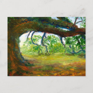 De reusachtige Oude Eiken Boom van Louisiane Briefkaart